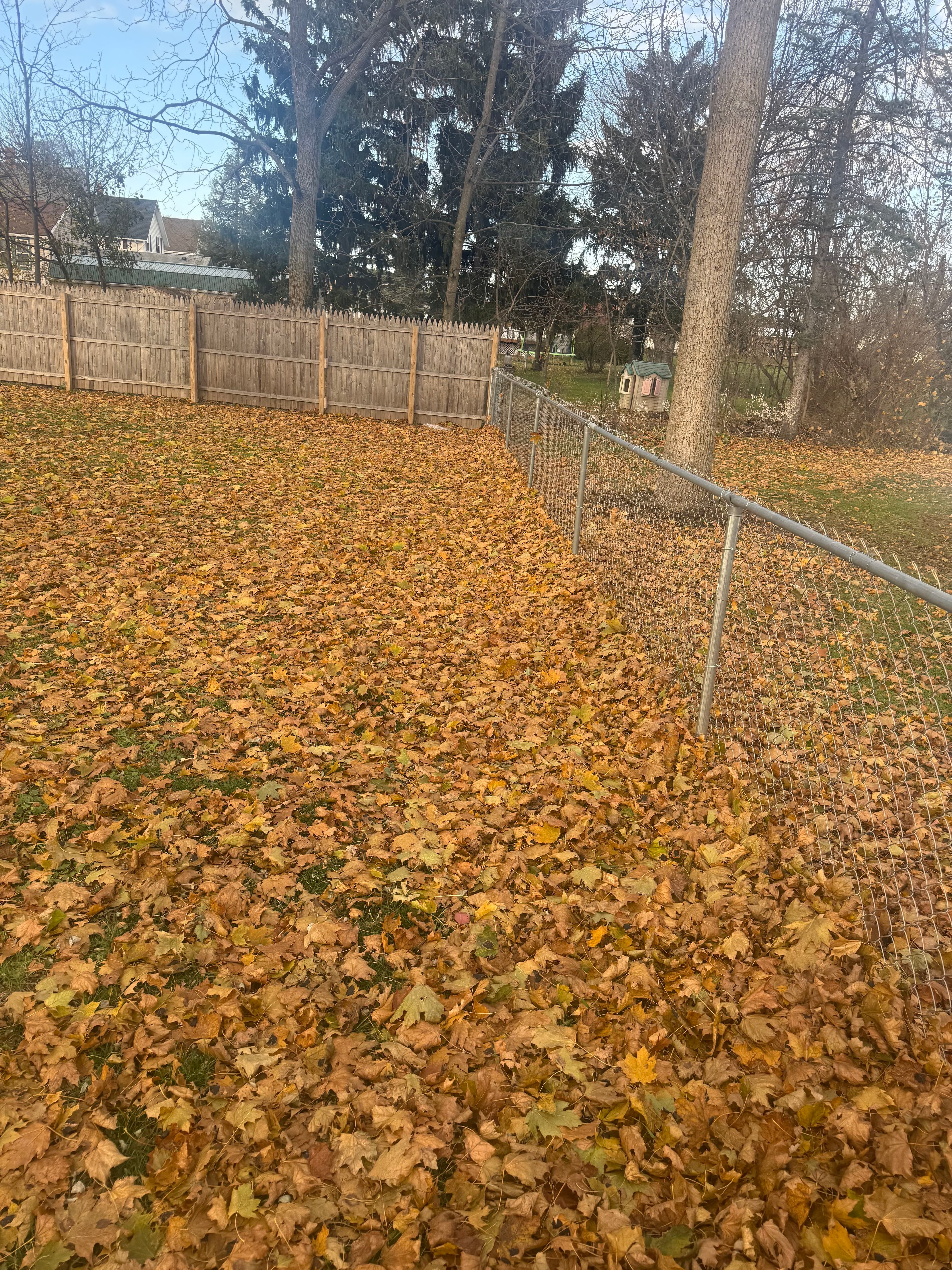 Seasonal Cleanups (Spring & Fall) image