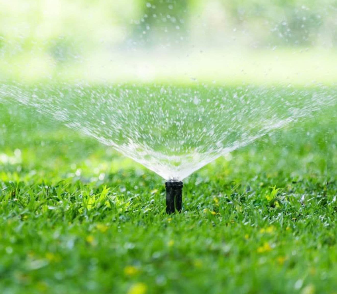 Irrigation System Installation & Repair image