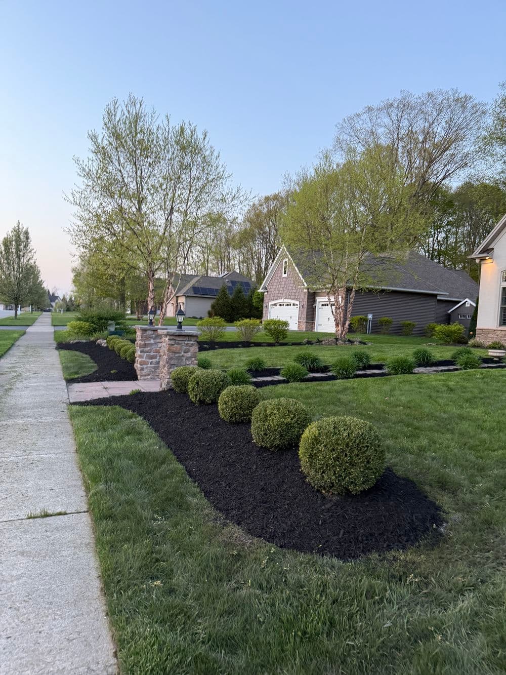 Well-maintained suburban lawn with trimmed bushes and fresh mulch near houses at dusk.